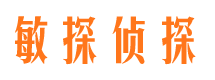 浈江市私家侦探